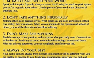 This Week in Grateful Dead History: Week 20 - May 11, 1977If ever I return